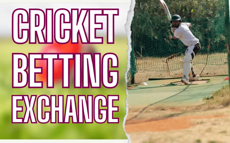 cricket betting exchange